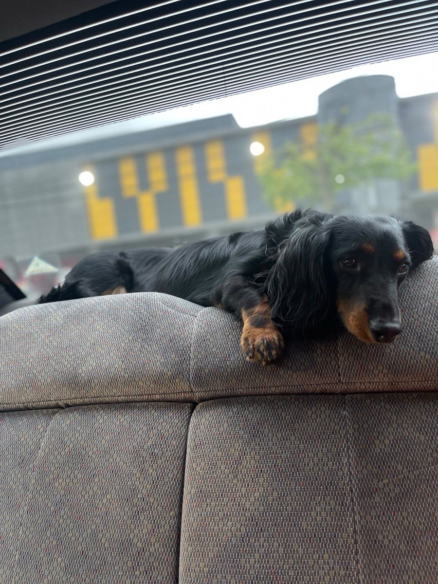 Panchito, foto 6